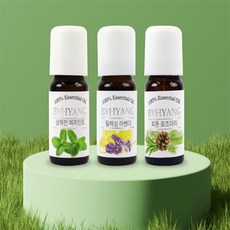 루미까사 10ml 에센셜오일 로즈마리향, 피톤로즈마리