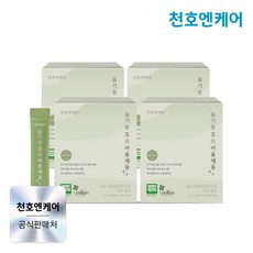 [천호엔케어]유기농 비건 인증 효소 비움채움 30포/천호식품, 4박스, 90g