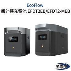 EcoFlow 額外擴充電池 EFDT2-MEB EFDT2EB 移動電源 全電行, 1個, 一度電電池
