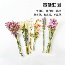懶懶喵 造景花束 乾燥花 倉鼠籠 夏季除臭 花草造景包 自然零添加 天然花草 裝飾造景 免修剪, 1個, 童話莊園, 70g