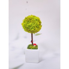 공기정화식물 스칸디아모스 토피어리 만들기 diy 키트 단체수업 원예수업 어린이 수업재료, 사용안함, 스프링그린