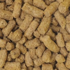 소라게사료 히카리크랩사료