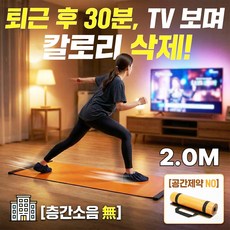 루텐픽 칼로리삭제 슬라이딩매트 슬라이딩보드 유산소 실내운동기구 홈스케이트, 1개, 칼로리삭제-오렌지