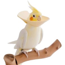 견행묘행 앵무새 넥카라 햄스터 넥쿠션 자해방지 깃털보호, 옐로우, 1개