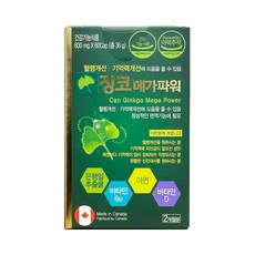 명문제약 징코 메가파워 은행잎추출물 비타민 아연, 1개, 60정