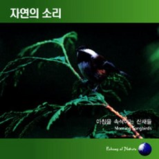 아침을 속삭이는 산새들 Morning Songbirds