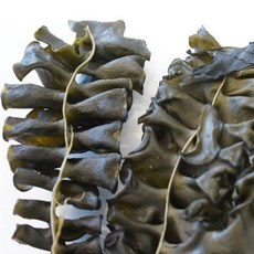 B25032 JKC 완도 마른 미역귀 100g 청정해역 풍부한 무기질 미역 뿌리부분 유효성분 점액질, 단일 수량, 1개