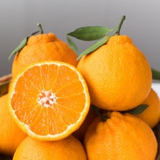 써니트 한라봉, 1개, 5kg / 15~20과내외