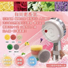水摩爾 蓮蓬頭專用VC沐浴香氛盒 淋浴香氛 維他命C 美容SPA, 1個, 薄荷