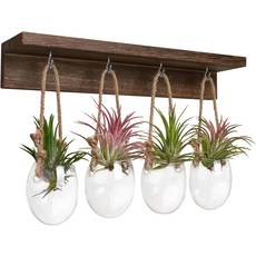 ohFLOWER 4개 벽걸이 유리 식물 스탠드 실내 데스크톱 전파 스테이션 나무 달걀 껍질 모양의 화분 벽 꽃병 - 물 심기 공기 용기