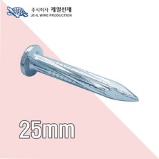 제일선재 콘크리트못25mm x 100g, 1개