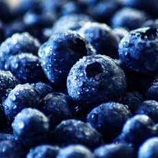 냉동 블루베리 cn, 2개, 1kg