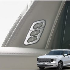 제플릭스 디올뉴 팰리세이드 LX3 워크인 버튼 몰딩 조수석 카본, 무광 실버, 기타