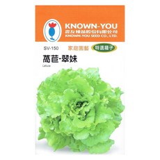 KNOWN-YOU 萬苣-翠妹萵苣種子 家庭園藝 特選種子, 1個