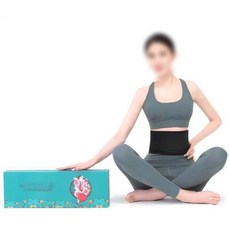 복부 마사지기 다이어트 허리 진동 벨트 EMS 온열 안마기