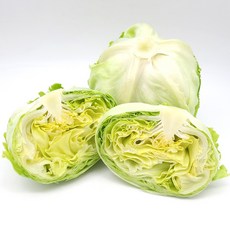 의령농산 건강 채소 국내산 통 양상추, 국내산 양상추1통, 2개