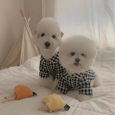 도치코 초소형 고양이잠옷 강아지잠옷 고양이옷 강아지옷, 1개, 네이비