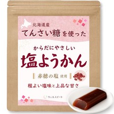 웰스위트 소금 양갱 양갱 홋카이도 팥 100%×천설탕 스틱 개별 포장 미니 양갱 20g×10개