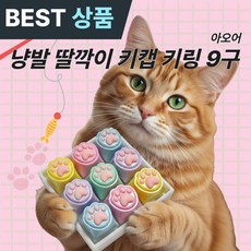 아오어 냥발 딸깍이 키캡 키링 9구