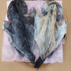 군산 반건조 국내산 우럭, 1개, 25~27cm