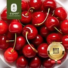 진심마루 진하게 달콤한 겨울 과일 칠레 체리 프리미엄 고당도, 1개, 달콤한 체리 대과(10R) 500g