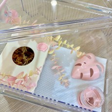 조이클린케이지 대사이즈 5가지색상 크레 도마뱀 파충류 사육장, 1개, 핑크