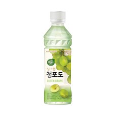 유어스 자연은 싱그런 청포도 340ml x 24개