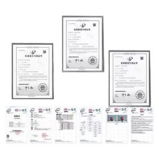 台灣出貨 可開統編 鄰家科技DS500/DS3OO電升上升器高空吊裝搬運防墜器爬繩機, DS500紅色載重250公斤, 1個