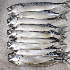 맛있는 노르웨이 자반고등어 대 10마리, 1개, 3.3~3.5KG