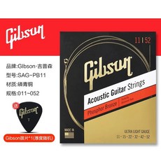 깁슨 기타 폴리쉬 광택제 세트 세정, D. SF Express  SAGPB11 1152 포스