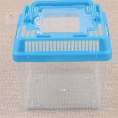 에셀디자인 곤충 채집통 미니 파충류