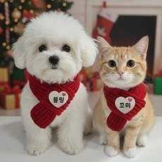 반려동물 이름 야광브로치 겨울 니트 목도리, 1개, 레드
