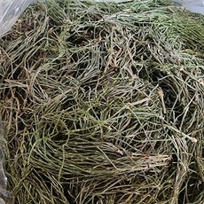 쇠뜨기 오지마을 야생에서 직접 채취한 쇠뜨기 건조, 1개, 200g