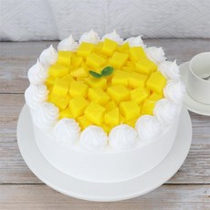 모형 케이크 생일 소품 파티용품 촬영용 샘플 스튜디오 케잌 클레이, 6인치, 수박 레드 H37