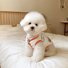 당근 수면 조끼 / 강아지조끼 / 고양이조끼, 당근조끼, 1개