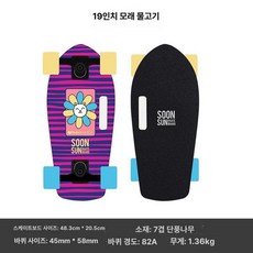 휴대용 미니 스케이트보드 손잡이 성인 입문용, 1개, 19인치 해변 물고기