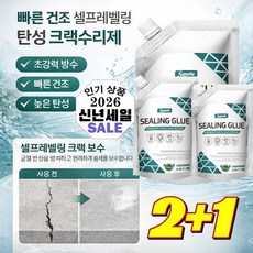 2+1 고분자 방수 속건 충전제 방수 복원 재료 바르다케미칼 침투형 투명 방수제 옥상/욕실 타일 초강력 발수, [1+1](2세트)화이트 500ml*2
