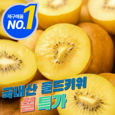 [설특가한정물량] 초특가 고당도 국내산 골드키위, 1박스, 3kg