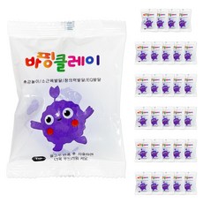 국산 바핑클레이 대한산업 교육용 소분 방과후 돌봄, 30개, 10g, 보라
