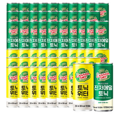 캐나다 토닉워터 + 진저에일 토닉 (각 ), 250ml, 1개