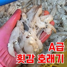 [작년1톤판매]생물 호래기 꼴뚜기 횟감 회, 1박스, 500g
