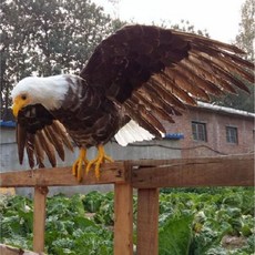 가짜 독수리 모형 맹금류 독수리모형 장식품 새쫓는 플러스 인테리어, 꽃 갈색 머리에서 꼬리까지 30cm