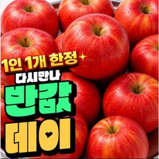 [단독할인] 고당도 국내산 부사 사과, 1개, 10kg 혼합과[한정 초특가]