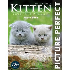 (영문도서)Kitten: Picture Perfect Photo Book Paperback, Independently Published, English, 9798292860242