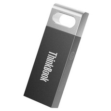 Thinkbook 레노버 USB TSU10, 1개, 8GB