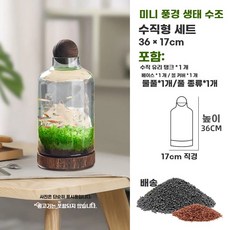 미니어항 수초어항 데스크 소형 물고기키우기, G. 작은 돈을 버는 병 세트 수생 잔디 진흙, 1개