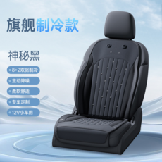 旗艦制冷汽車通風坐墊 8+2雙驅冷凝風製冷 主動降噪 專車定制 12V小車用, 12V單座-神秘黑【全身降溫+主動降噪】雙驅製冷+3擋控溫, 無規格