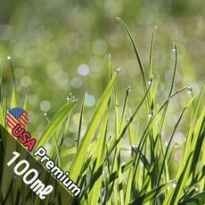 C024 스플레쉬레인 100ml (Splash Rain) 프래그런스오일 캔들 디퓨저 향수, 1개