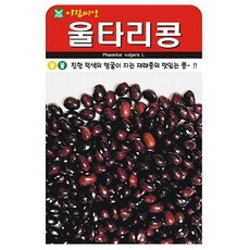 아람종묘 울타리콩 씨앗 30g 넝쿨성 재래종 울타리콩씨 종자, 1개 1개