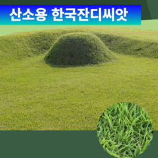 경신종묘 국산잔디씨앗10g 산소 정원 금년포장 신제품, 2개